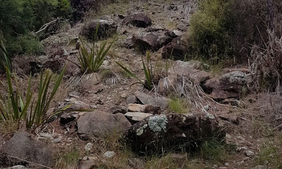 Hacket Chromite Mine Loop, Tasman