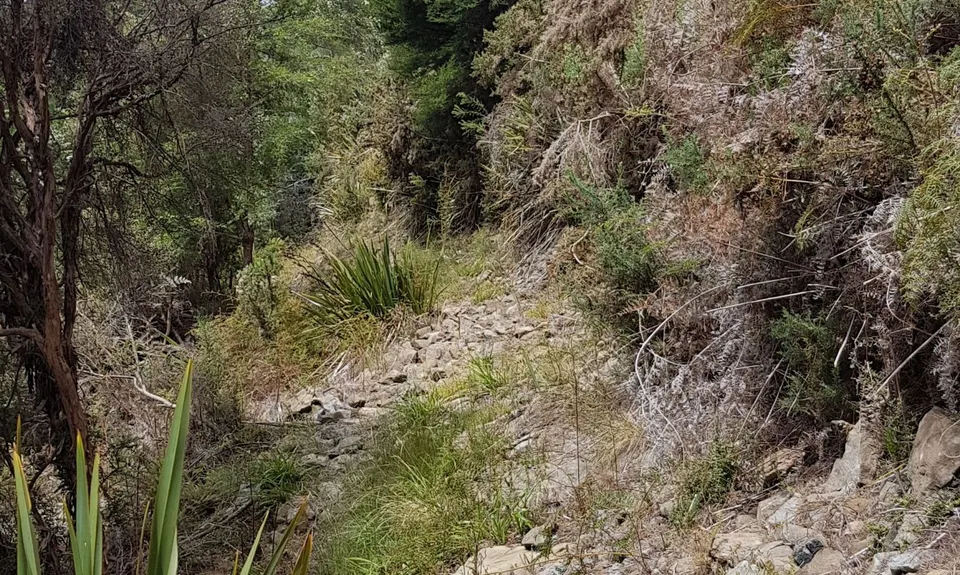 Hacket Chromite Mine Loop, Tasman