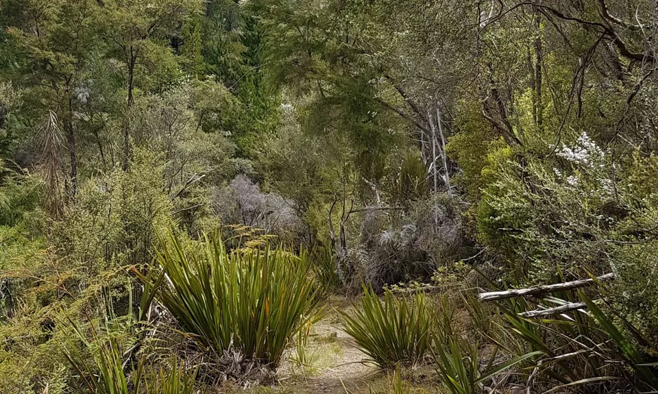 Hacket Chromite Mine Loop, Tasman