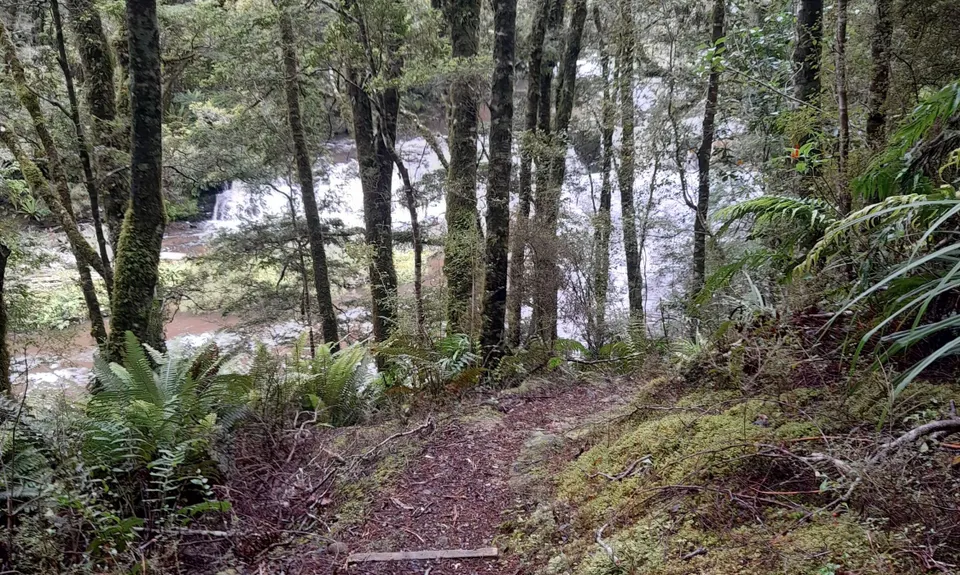 Catlins River Track, Otago