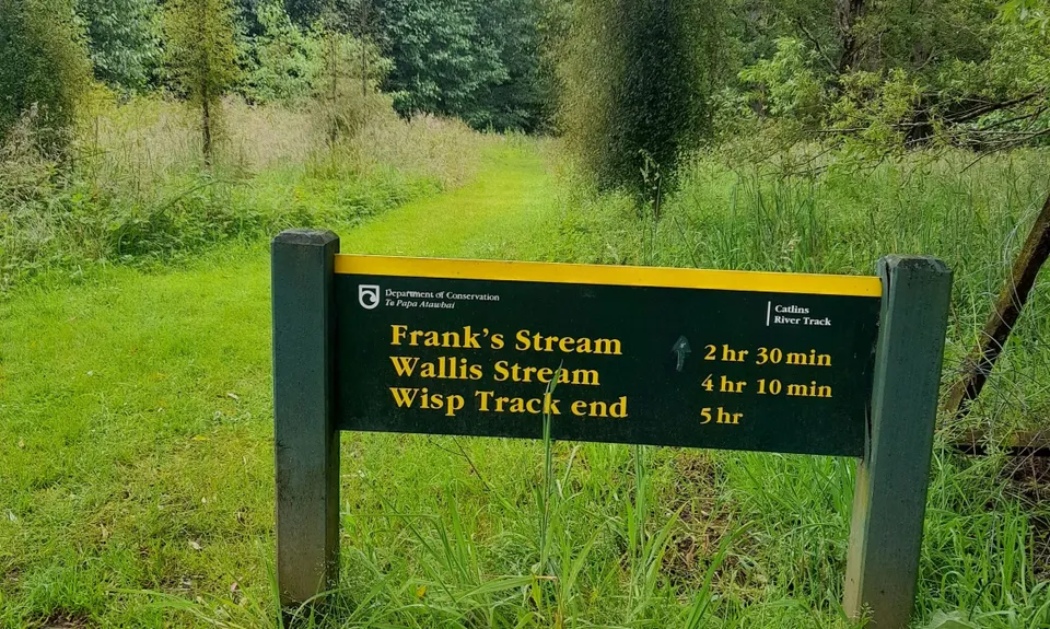 Catlins River Track, Otago