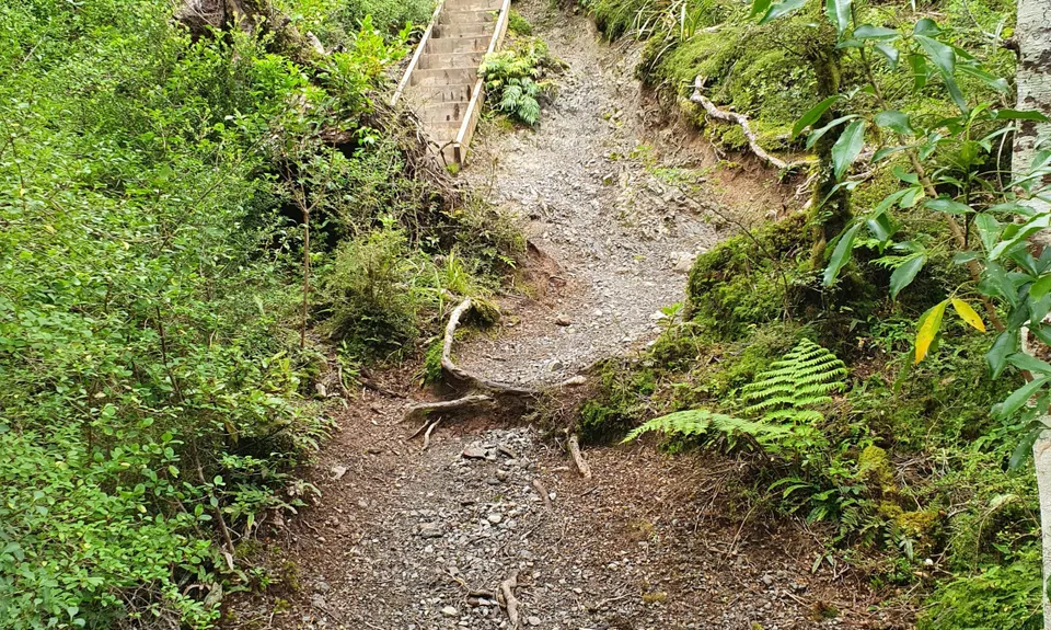 Powell Hut, Wellington
