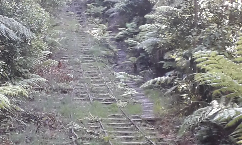 Waiorongomai Valley Adventures, Waikato