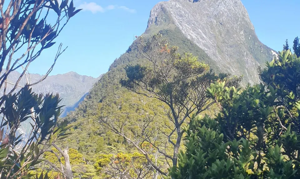 Mitre Peak