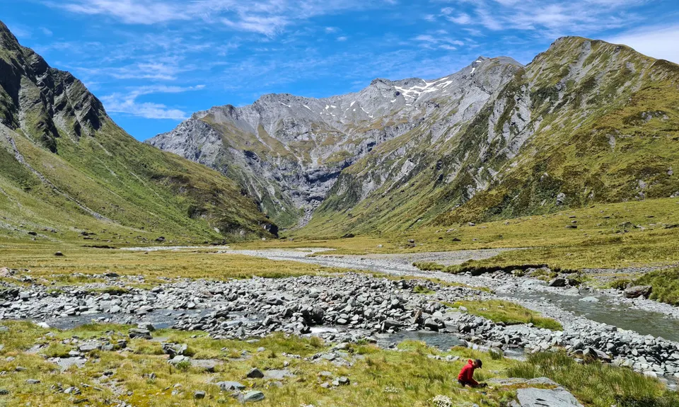 Run Rabbit Run, Otago