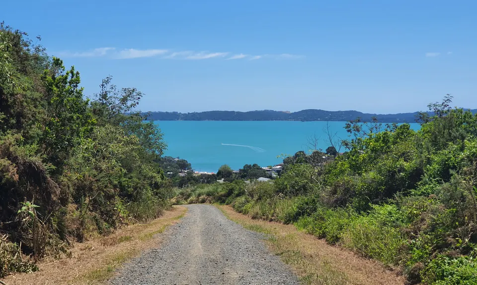 Not my left eye, it's Maraetai!, Auckland