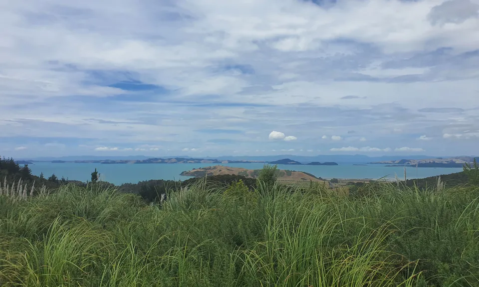 Not my left eye, it's Maraetai!, Auckland