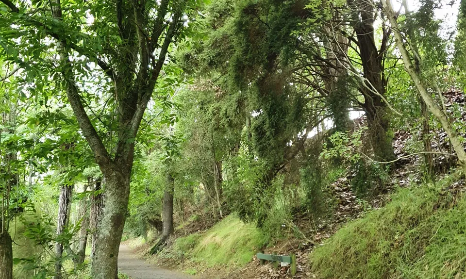 Hakarimata Traverse , Waikato