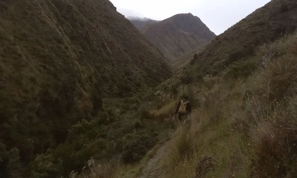 Fern Burn Hut, Otago