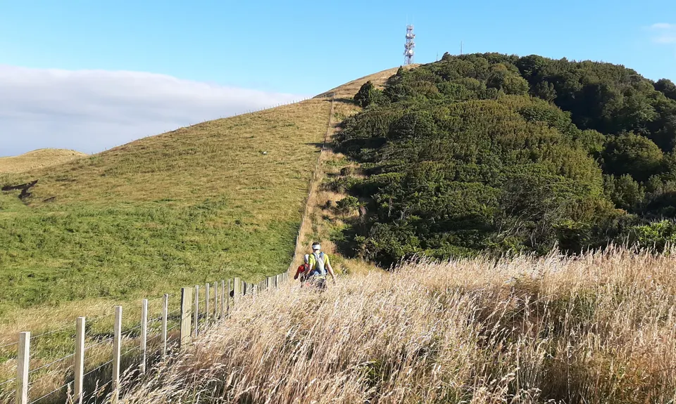 Hapuakohe Hills, Waikato
