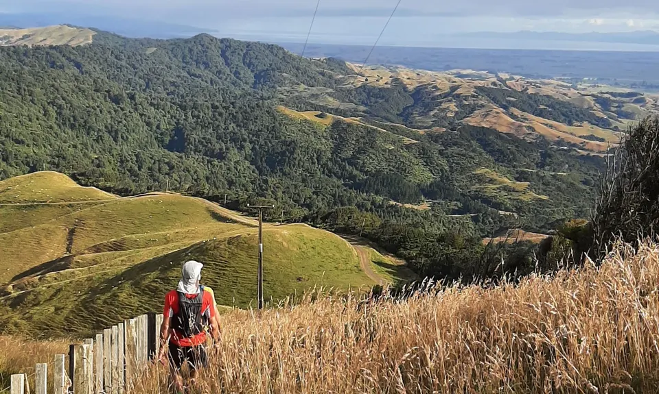 Hapuakohe Hills, Waikato