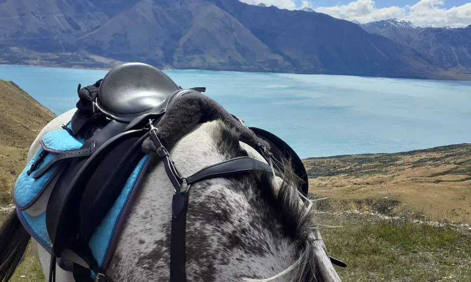 Ben Ohau Loop, Canterbury