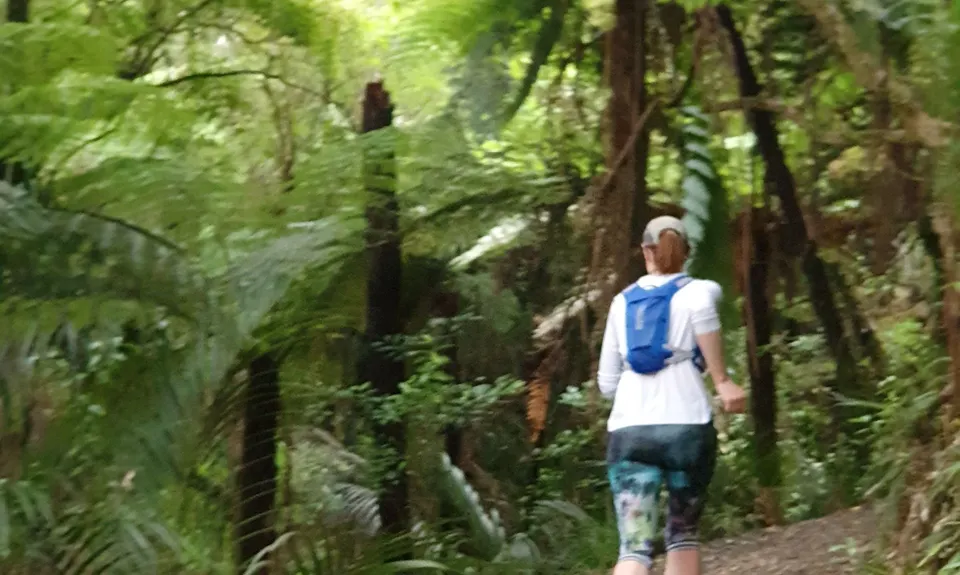 Hakarimata Traverse , Waikato