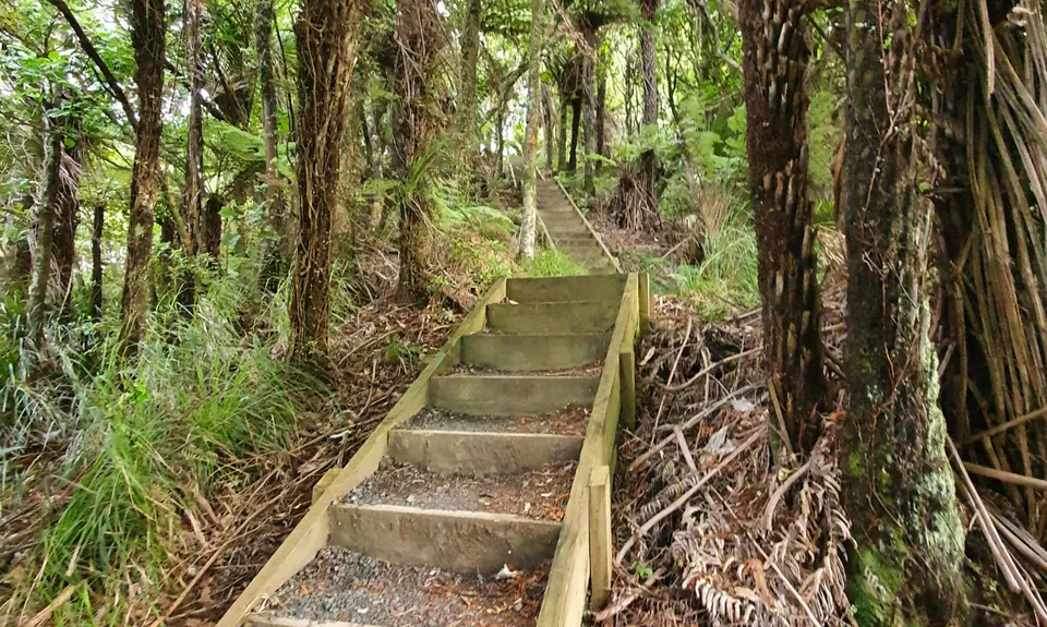 Hakarimata Traverse , Waikato