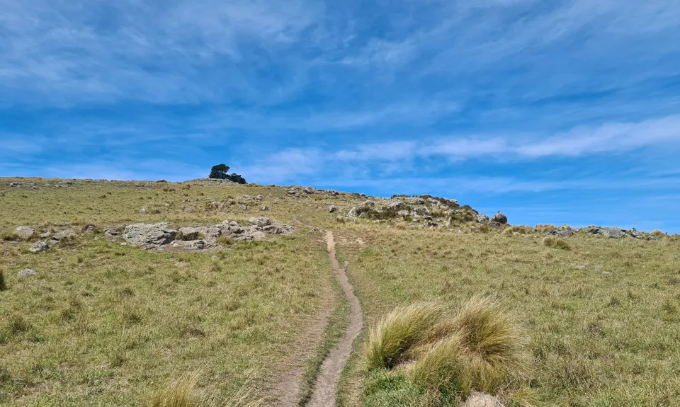 Mt Pleasant Elevator, Canterbury
