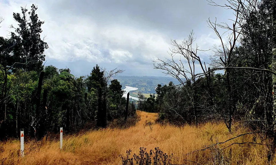 Hakarimata Traverse , Waikato