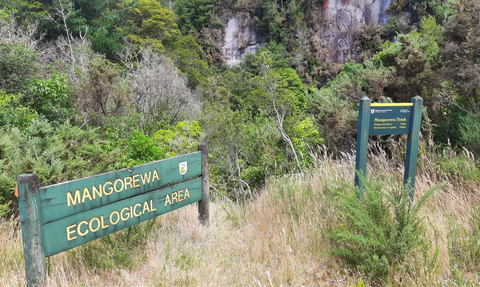 Mangorewa Loop Track , Bay of Plenty