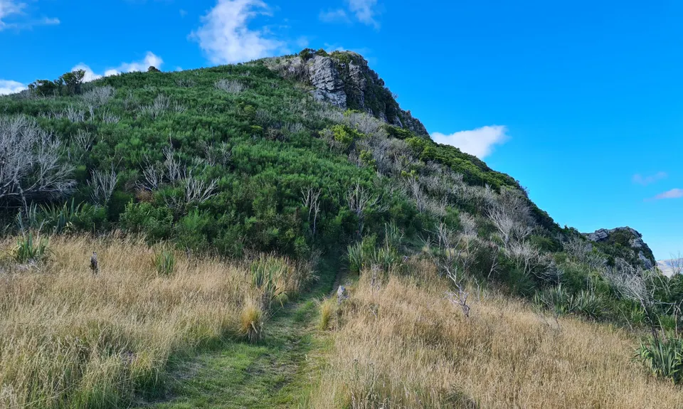 Living Springs Loop, Canterbury