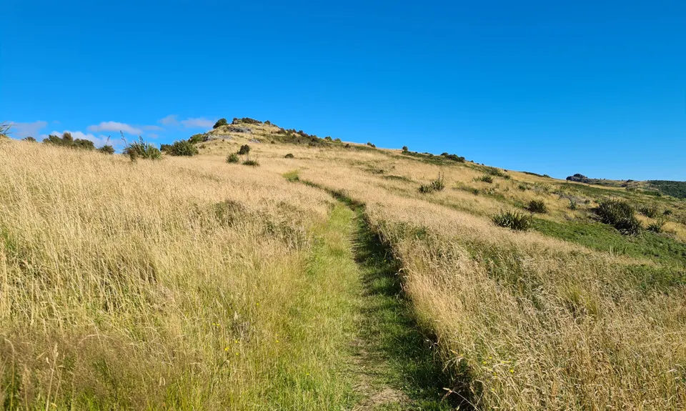 Living Springs Loop, Canterbury