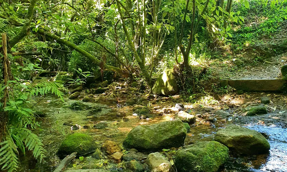 Kaimai South Side To Hurunui Hut, Waikato