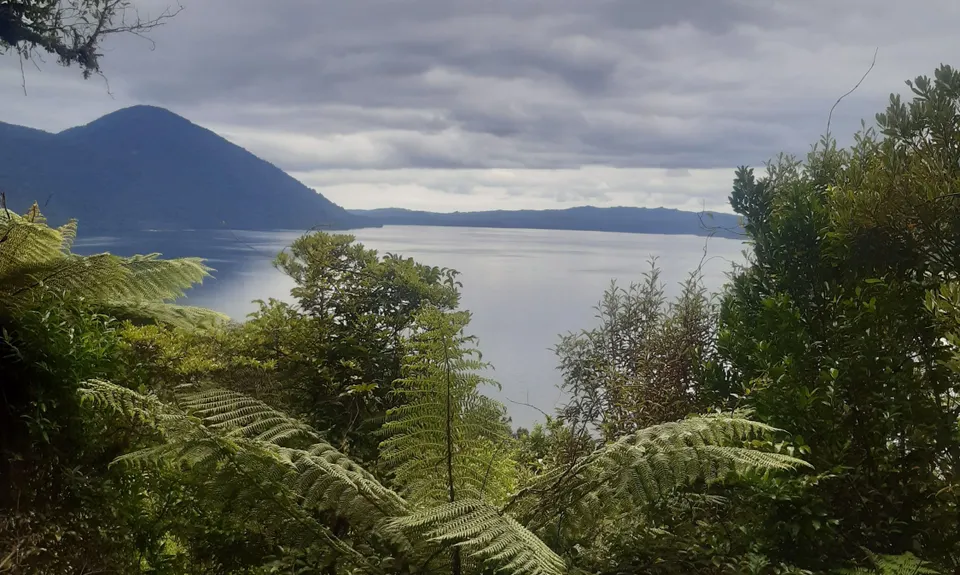 Loop Lake Kaniere, West Coast