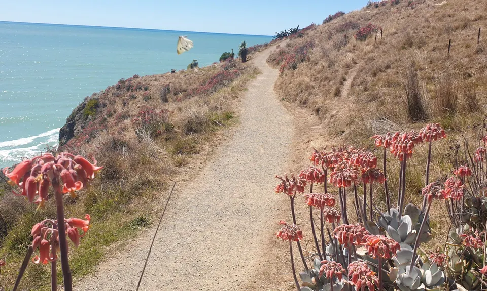 God's Con - Rehab Road, Canterbury