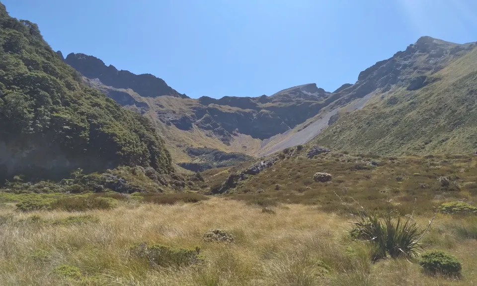 The Ellis, Tasman