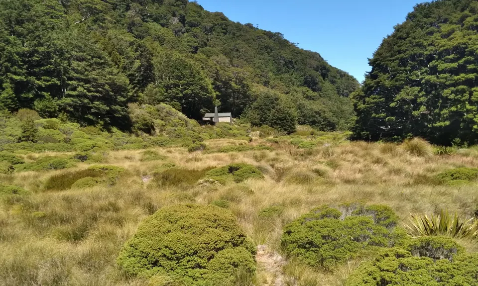 The Ellis, Tasman