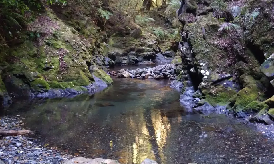 The Ellis, Tasman