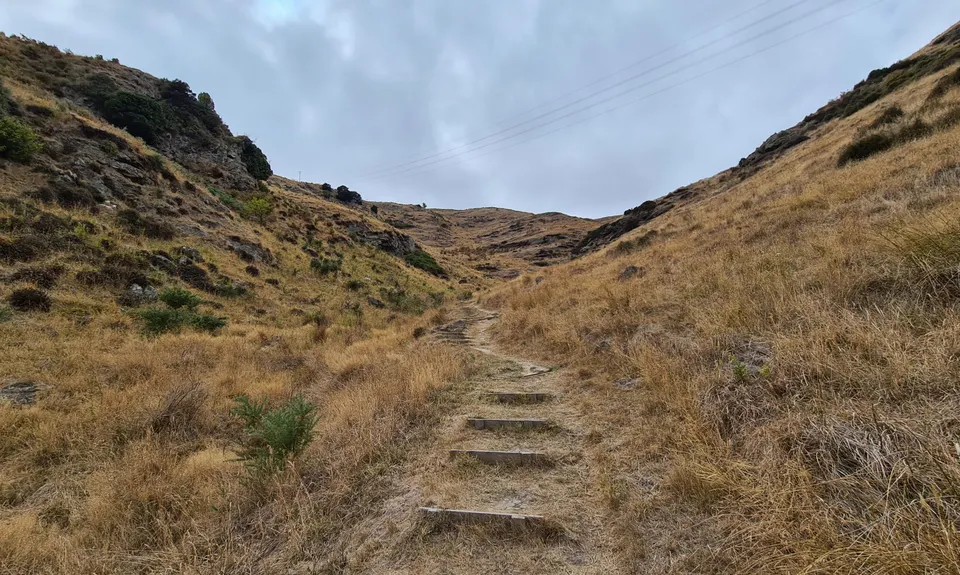 VKV challenge, Canterbury