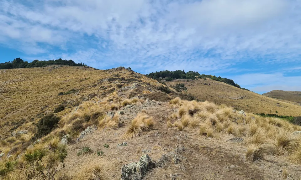 VKV challenge, Canterbury