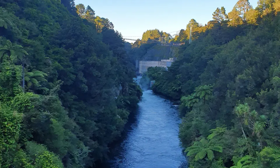 Little Waipa to Arapuni, Waikato