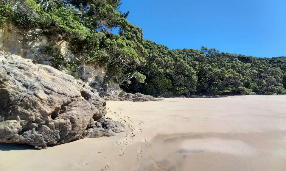 Paradise in Onemana, Waikato