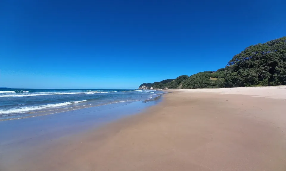 Paradise in Onemana, Waikato