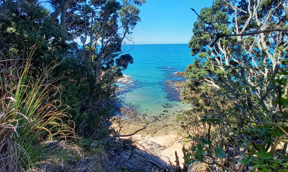 Paradise in Onemana, Waikato