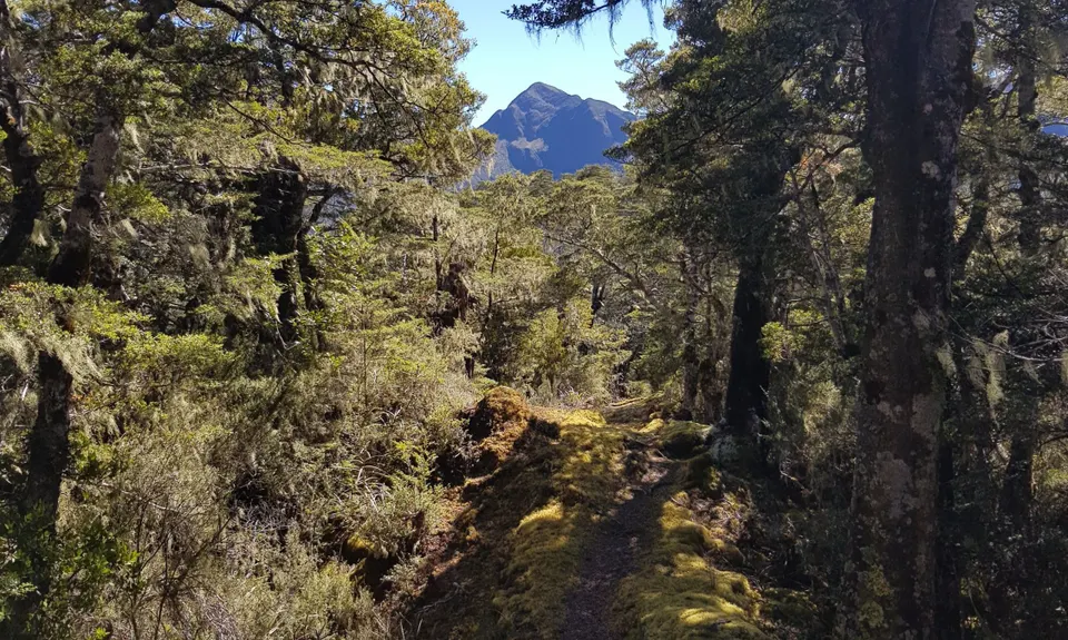 Mt. Patriarch (Tasman), Tasman