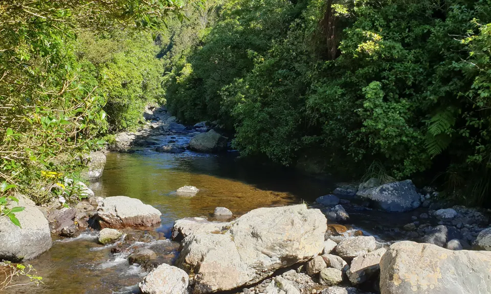 Sledge-Arapuke Swing Bridge Climb, Manawatu - Wanganui