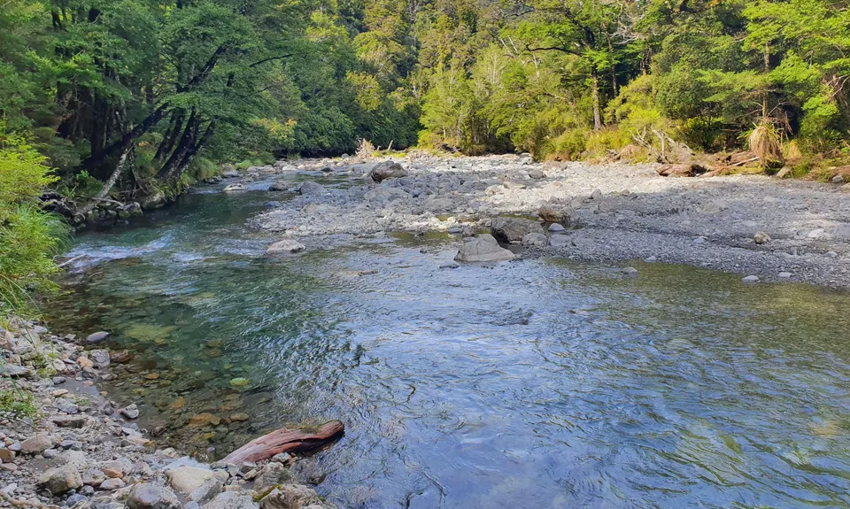 Holdsworth to Kaitoke, Wellington