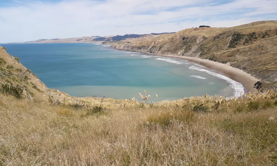 Deliverance Cove & Lighthouse Loop, Wellington