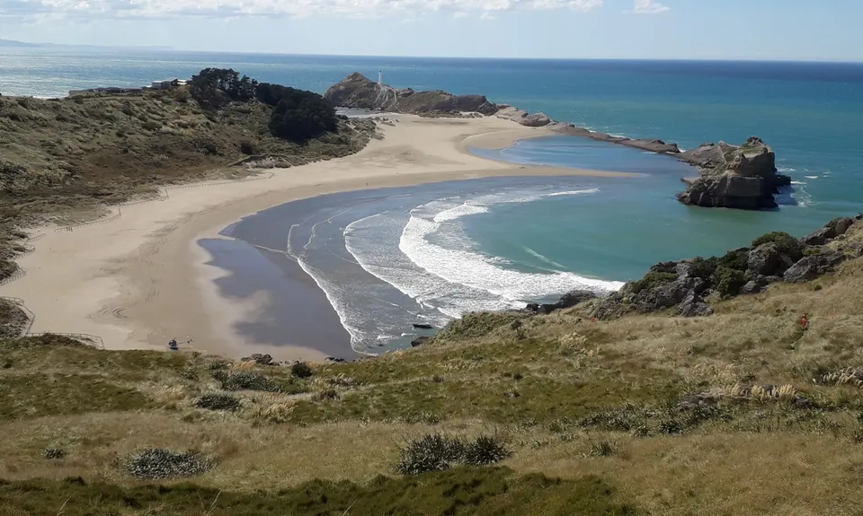Deliverance Cove & Lighthouse Loop, Wellington