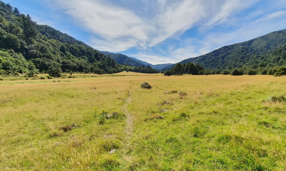 Holdsworth to Kaitoke, Wellington