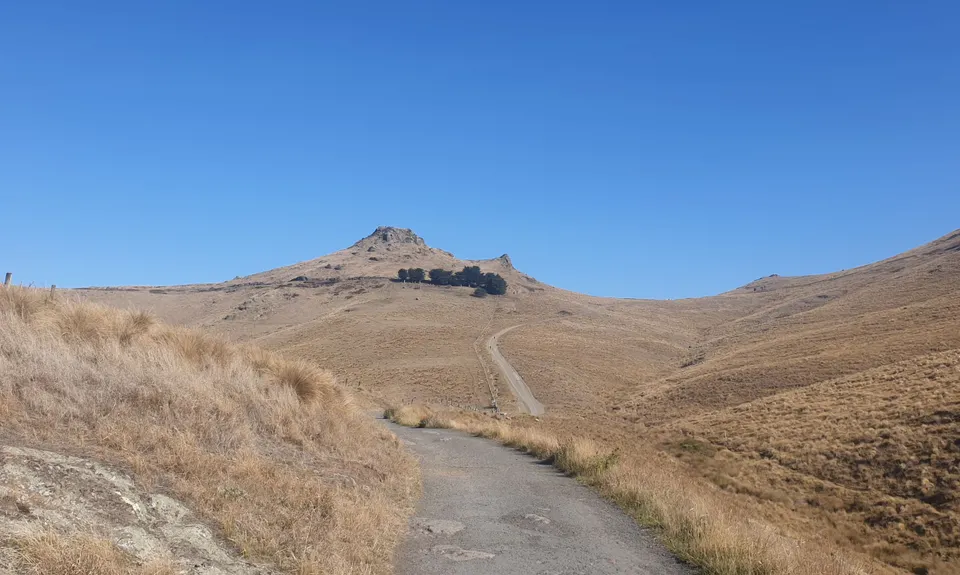 Port Hills Nearly Half Marathon, Canterbury