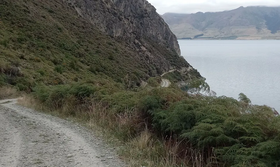 Silver Island , Otago