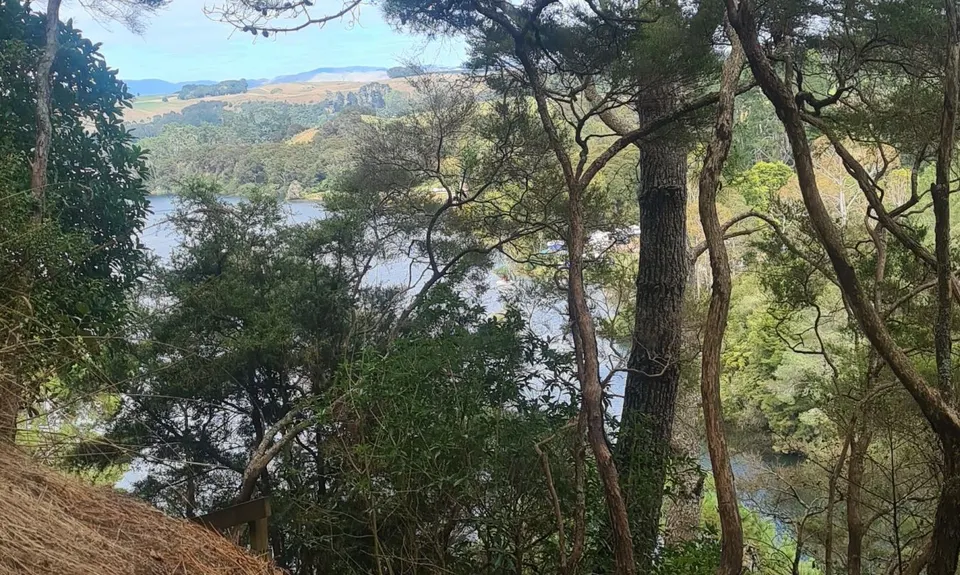 Arapuni Swing Bridge to Jones Landing , Waikato