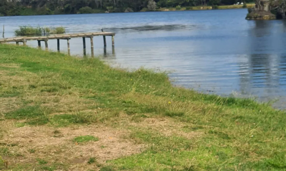 Arapuni Swing Bridge to Jones Landing , Waikato