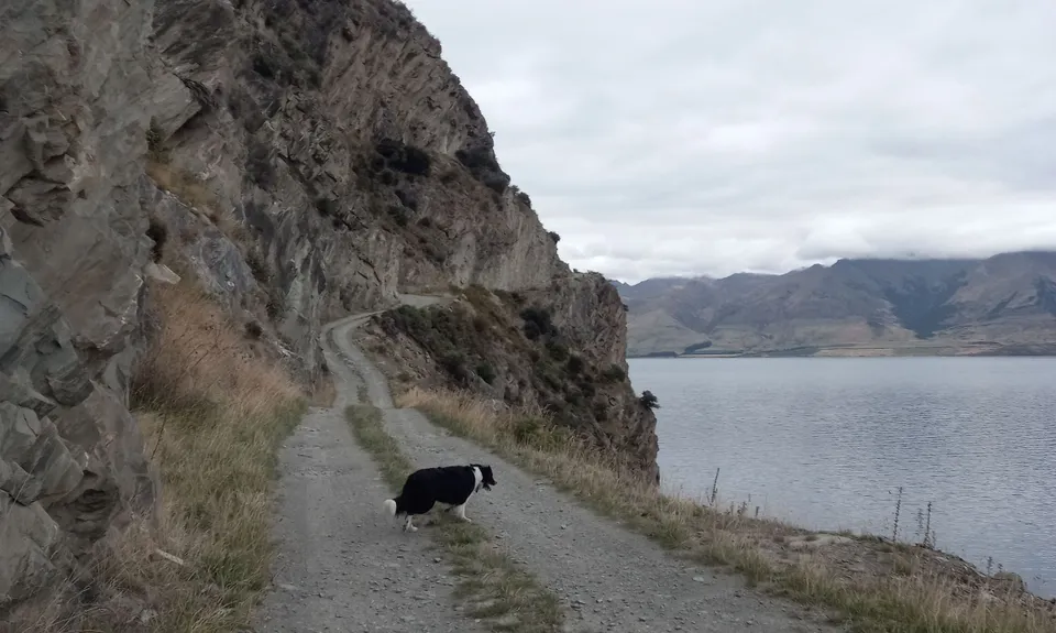 Silver Island , Otago