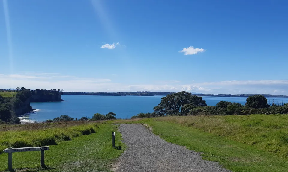 Long Bay Beach, Bush & Cliffs, Auckland
