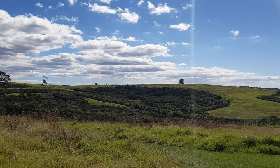 Long Bay Beach, Bush & Cliffs, Auckland