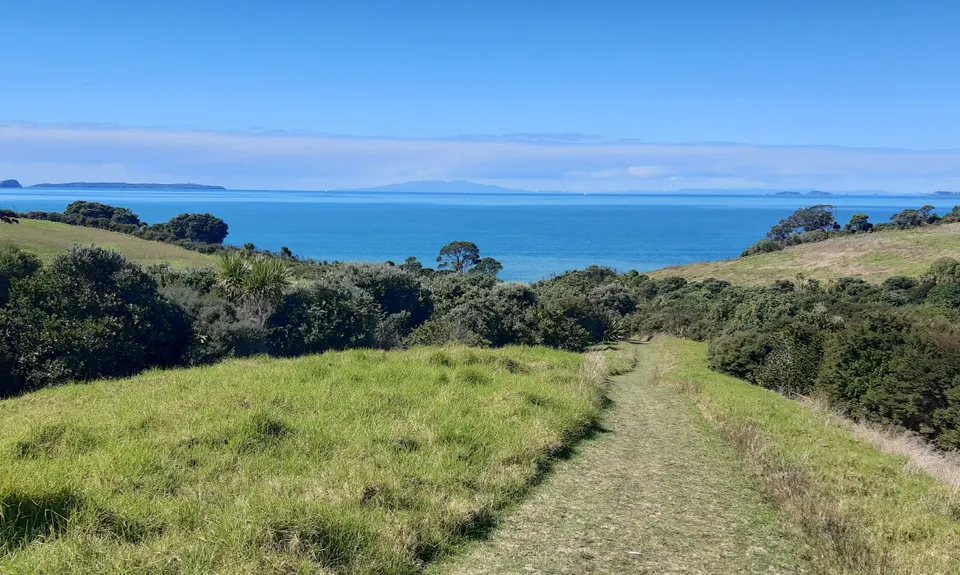 Long Bay Beach, Bush & Cliffs, Auckland