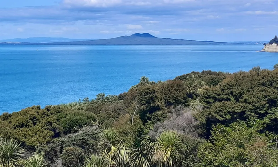 Long Bay Beach, Bush & Cliffs, Auckland